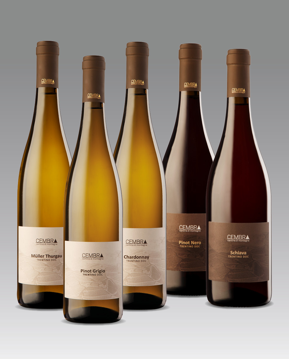Cembra Cantina di montagna Banner Classici 980x1220 vini
