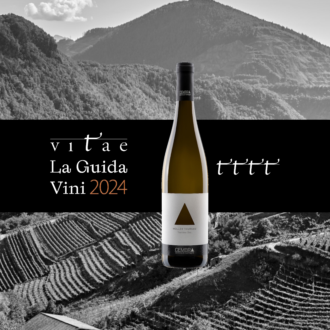 Vitae2023-MT