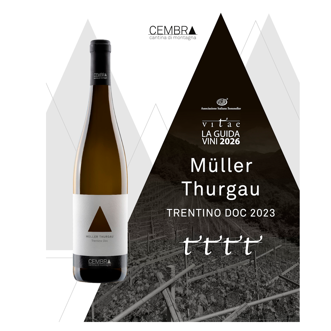 4 viti-MT-Ais vitae 2026