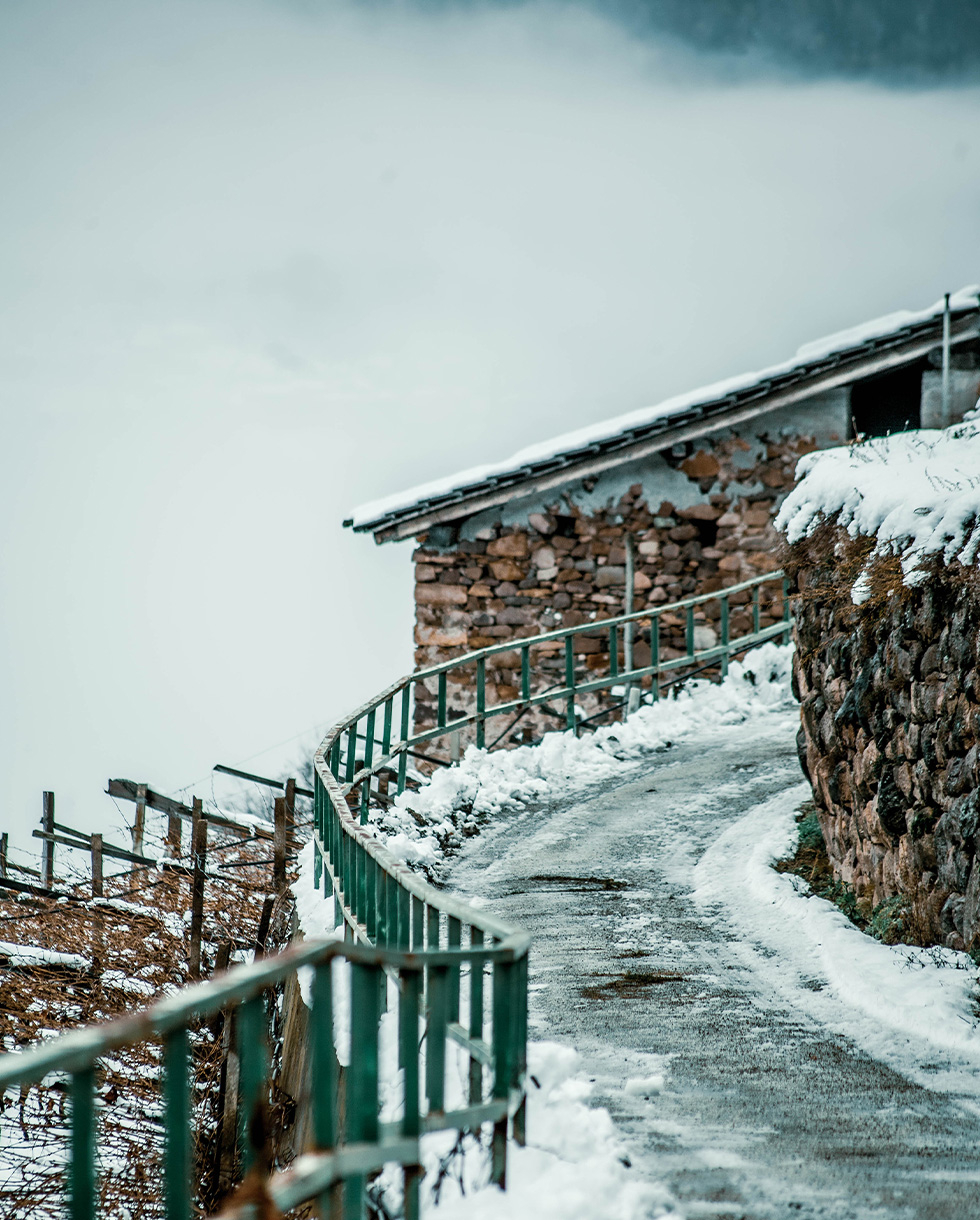 CEMBRA-VIGNETI-STRADA-INNEVATA